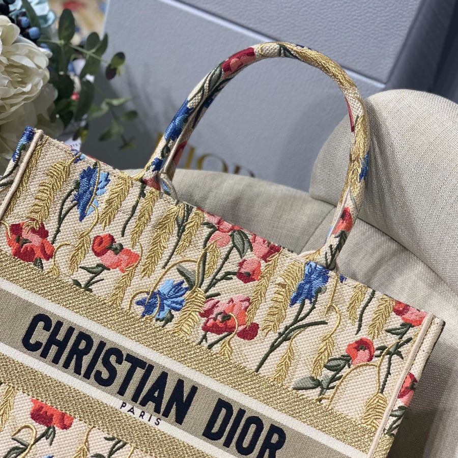 SMALL DIOR BOOK TOTE