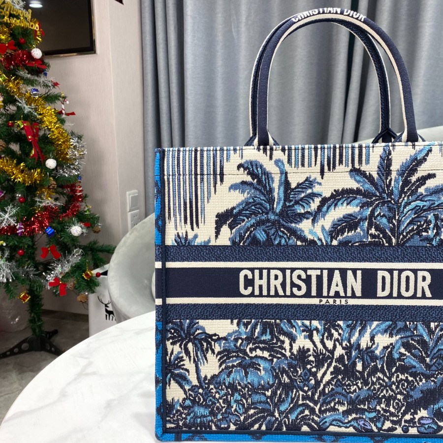 DIOR BOOK TOTE