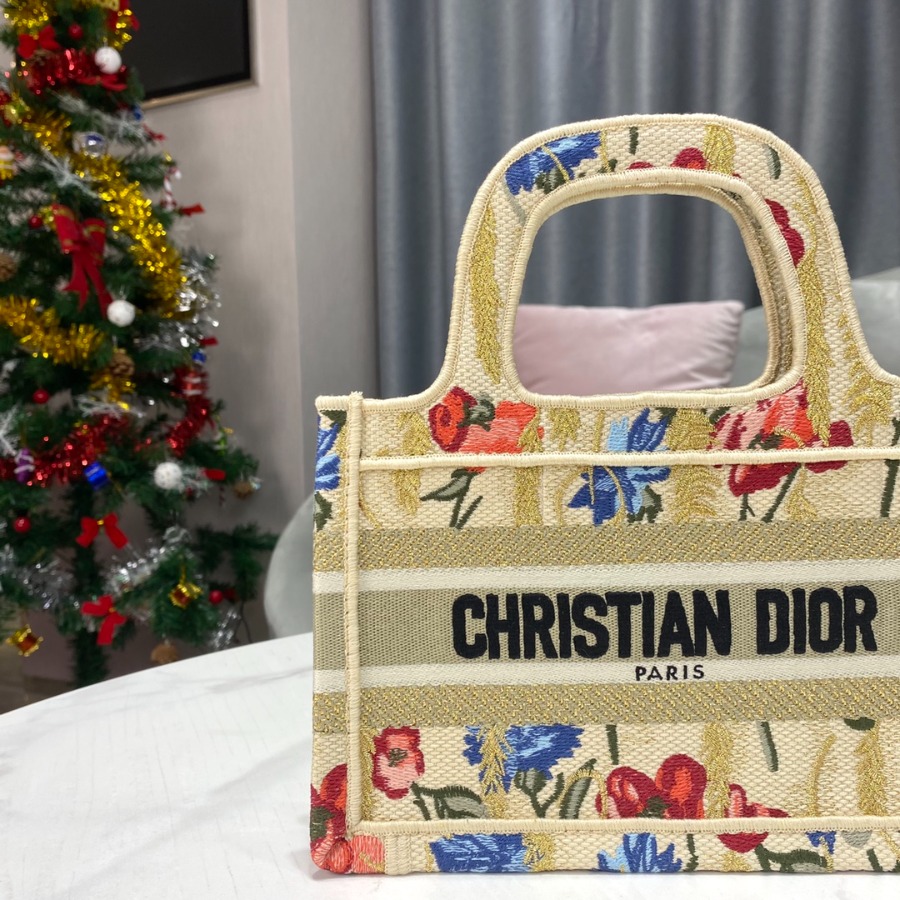 MINI DIOR BOOK TOTE