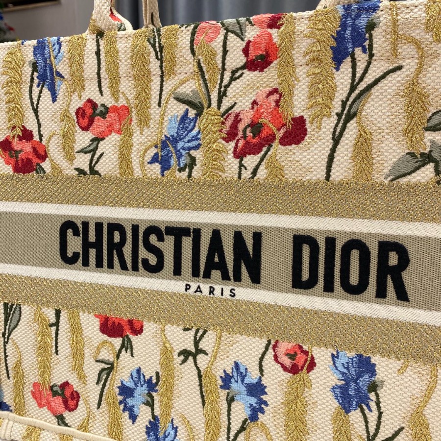 SMALL DIOR BOOK TOTE