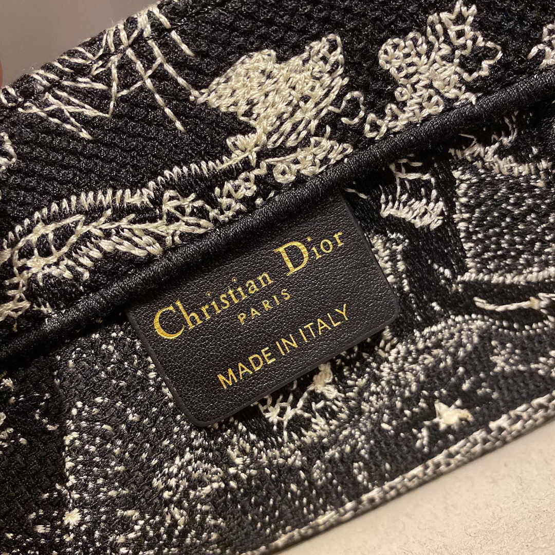 SMALL DIOR BOOK TOTE