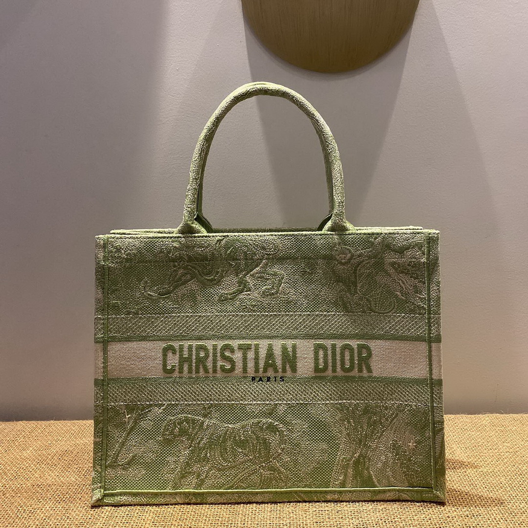SMALL DIOR BOOK TOTE