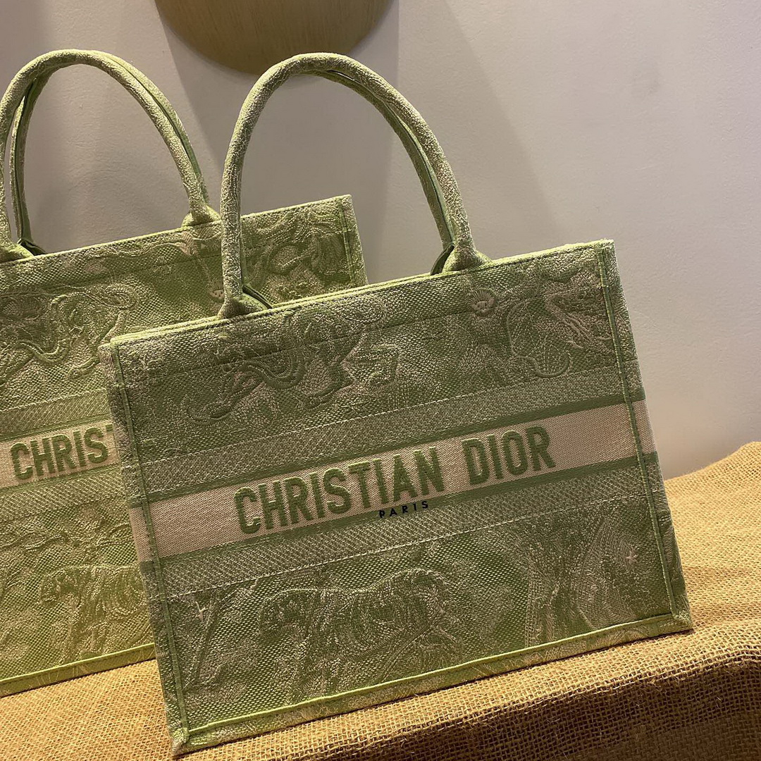 SMALL DIOR BOOK TOTE