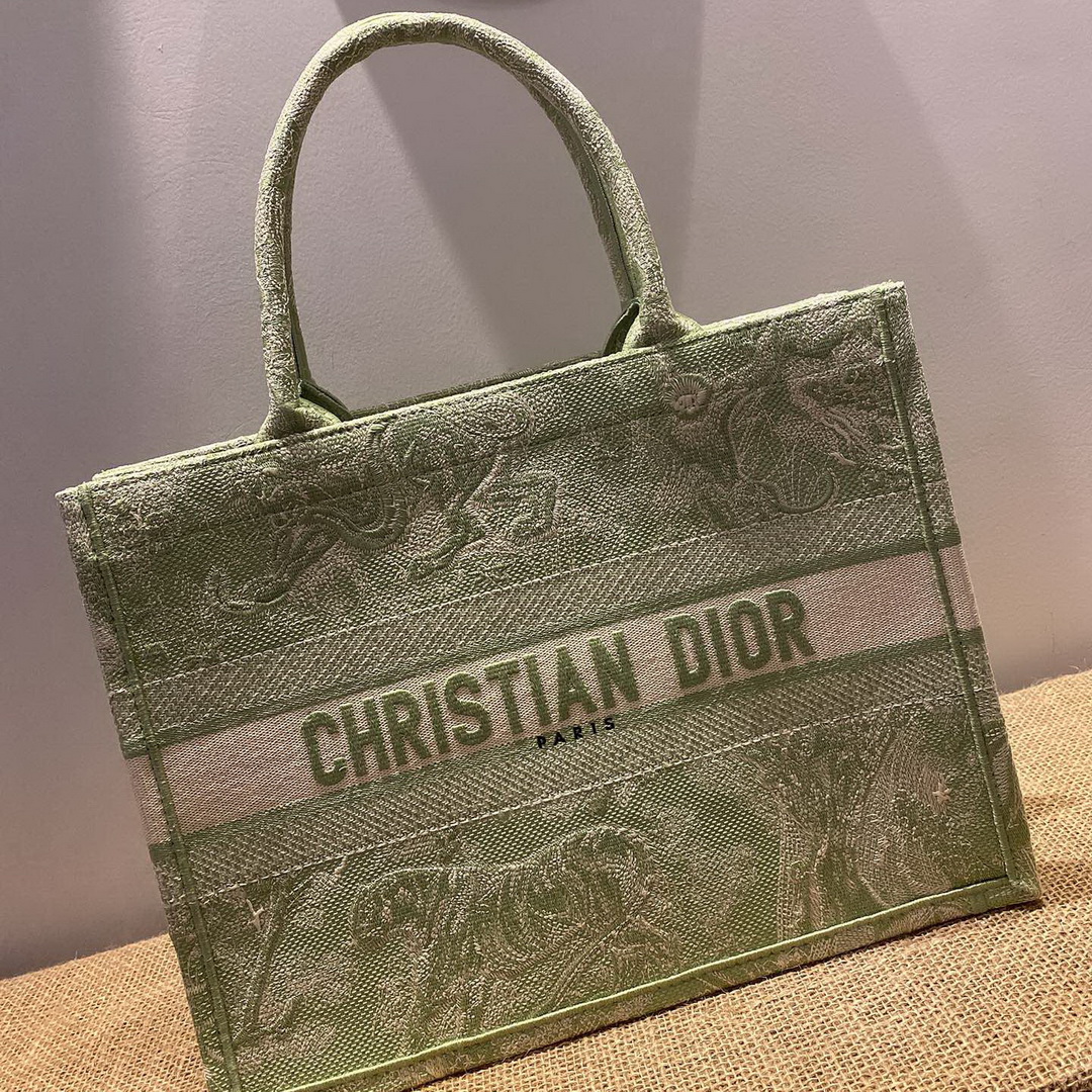 SMALL DIOR BOOK TOTE