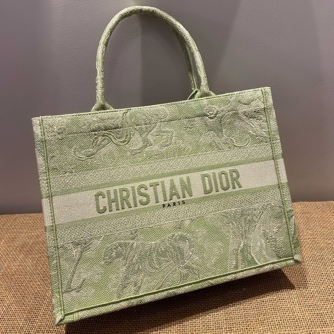 SMALL DIOR BOOK TOTE