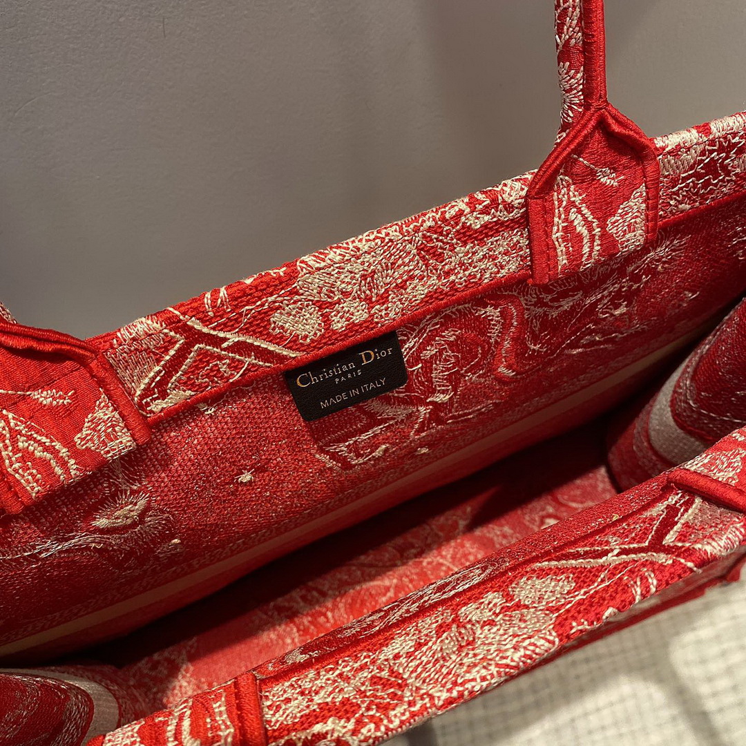 DIOR BOOK TOTE