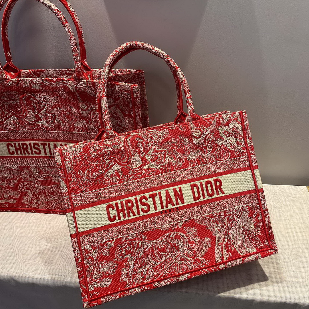 SMALL DIOR BOOK TOTE