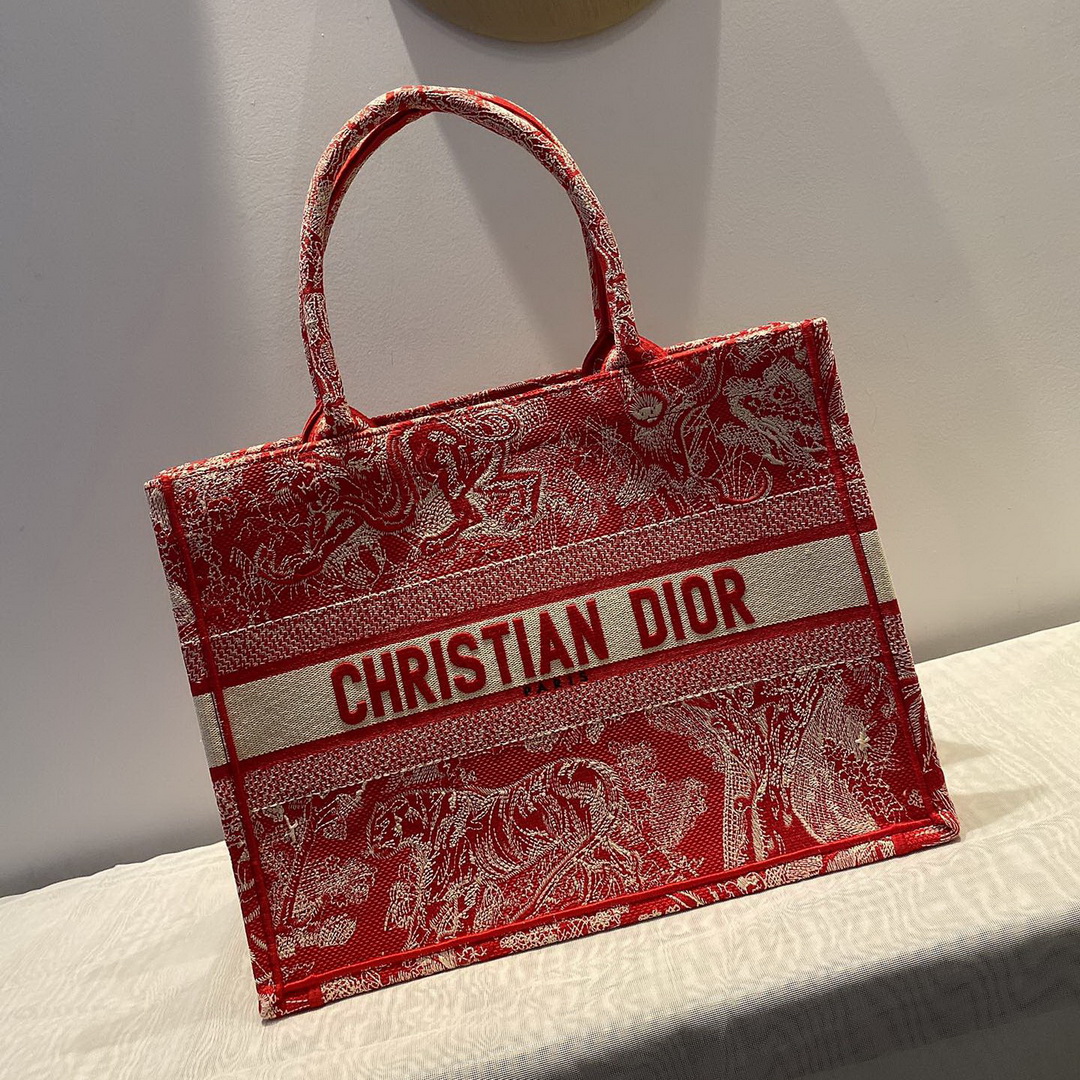 SMALL DIOR BOOK TOTE