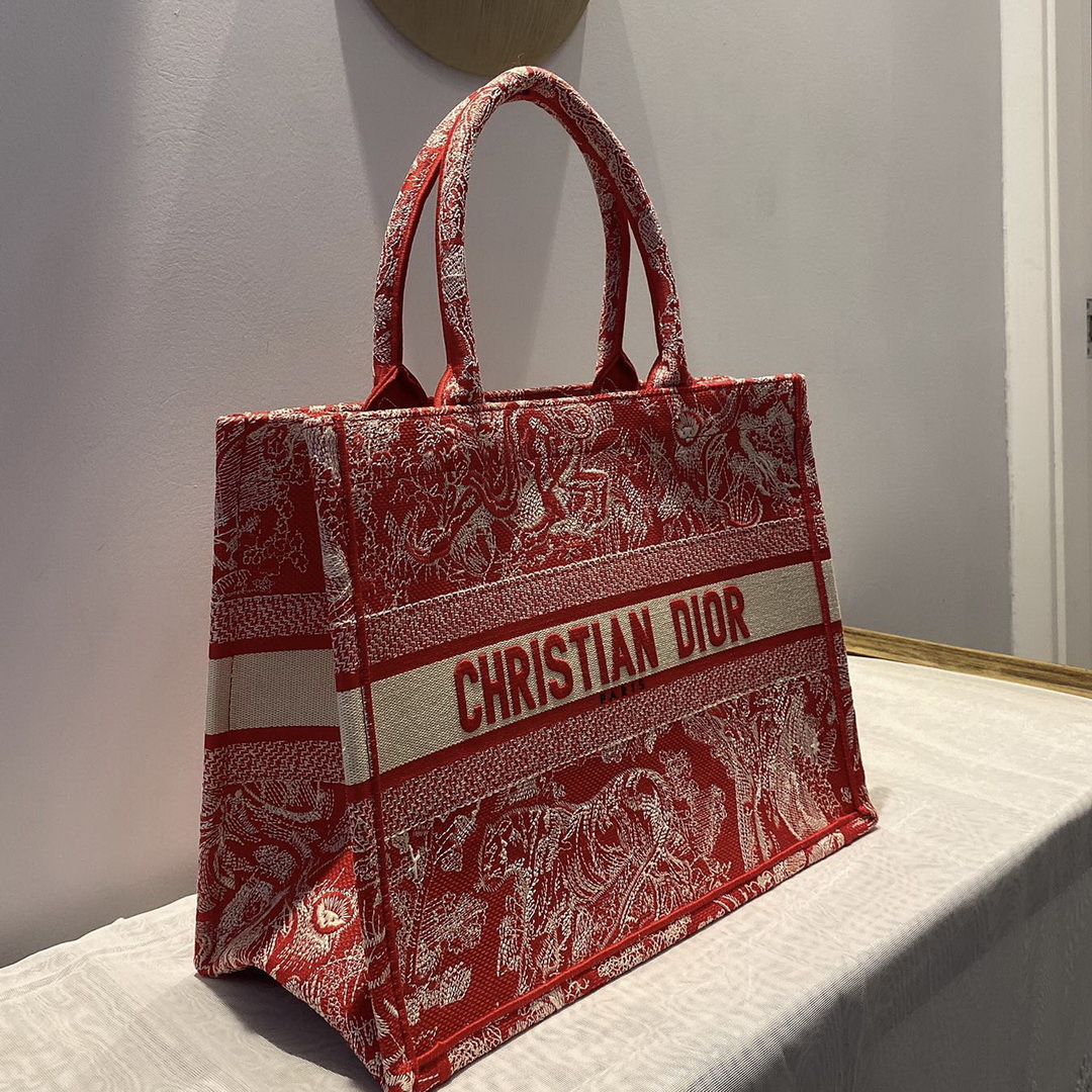 SMALL DIOR BOOK TOTE