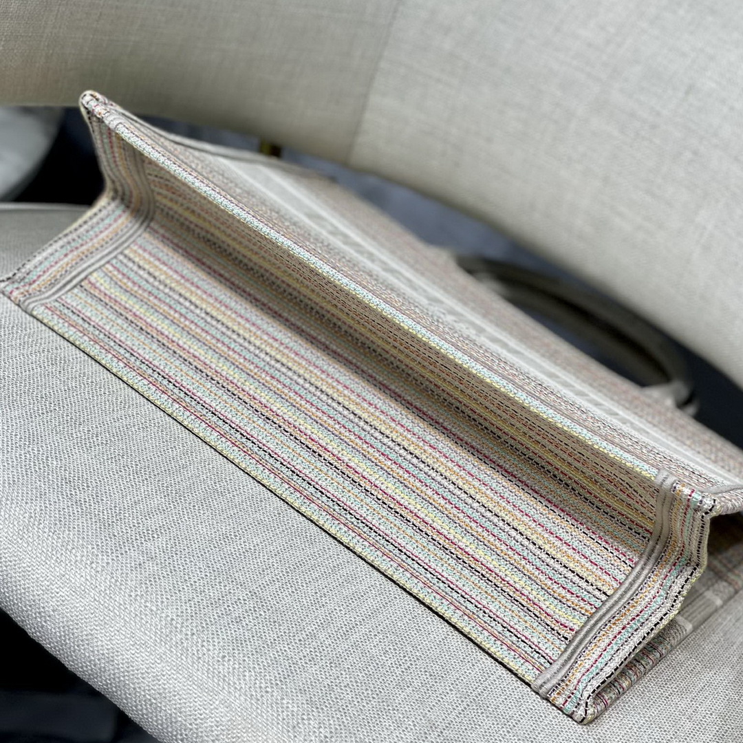 SMALL DIOR BOOK TOTE