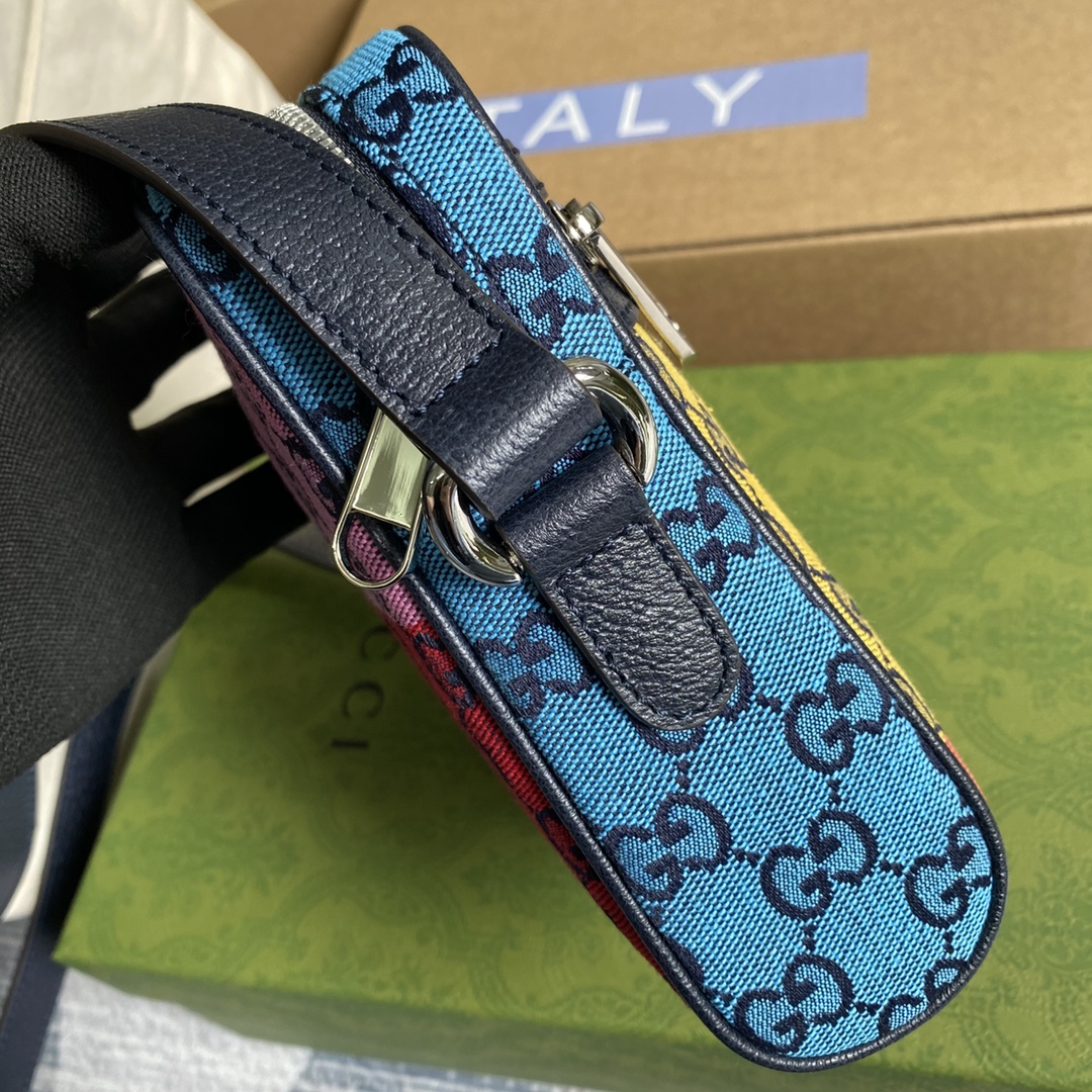 658659 GG Multicolor bag