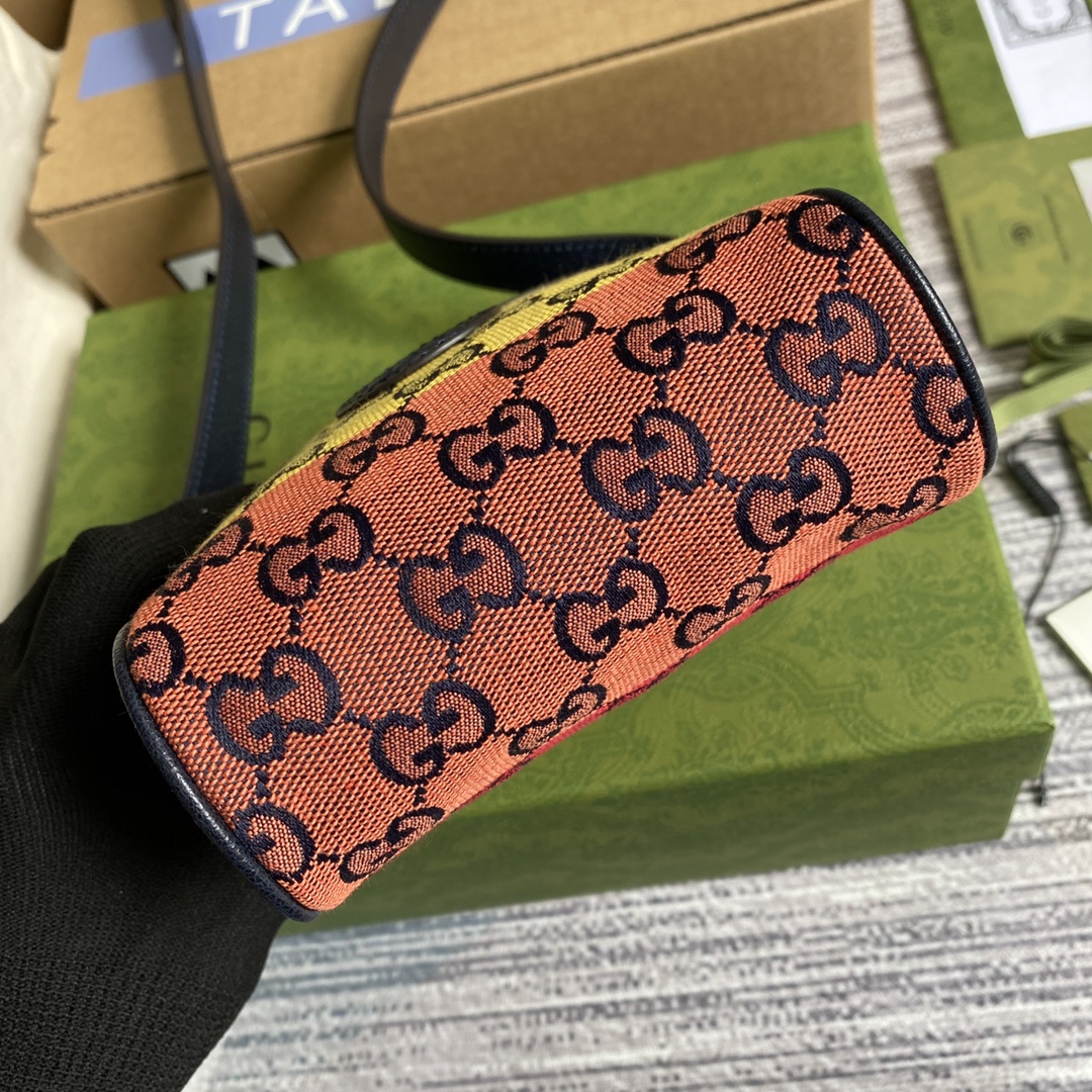 658659 GG Multicolor bag
