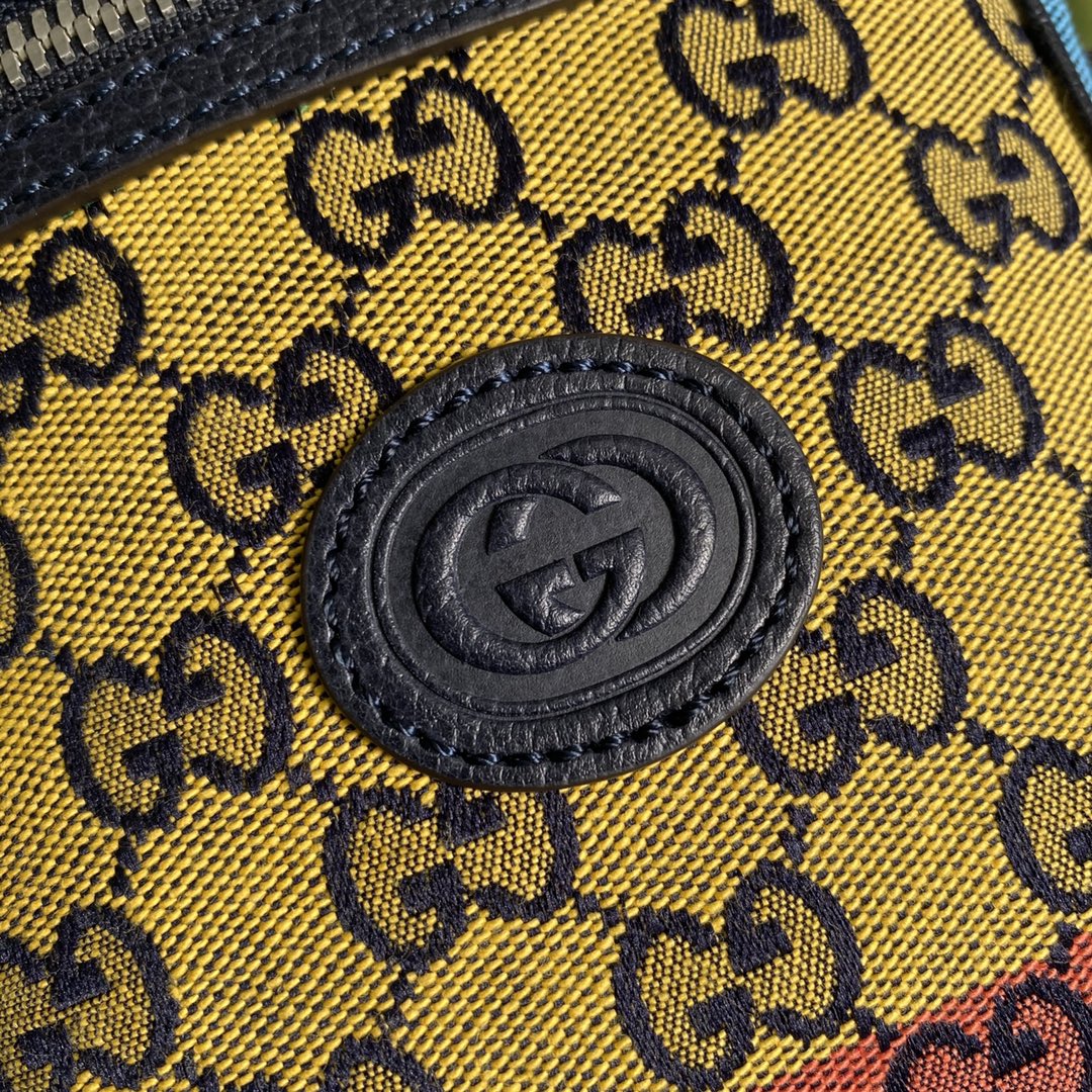658659 GG Multicolor bag