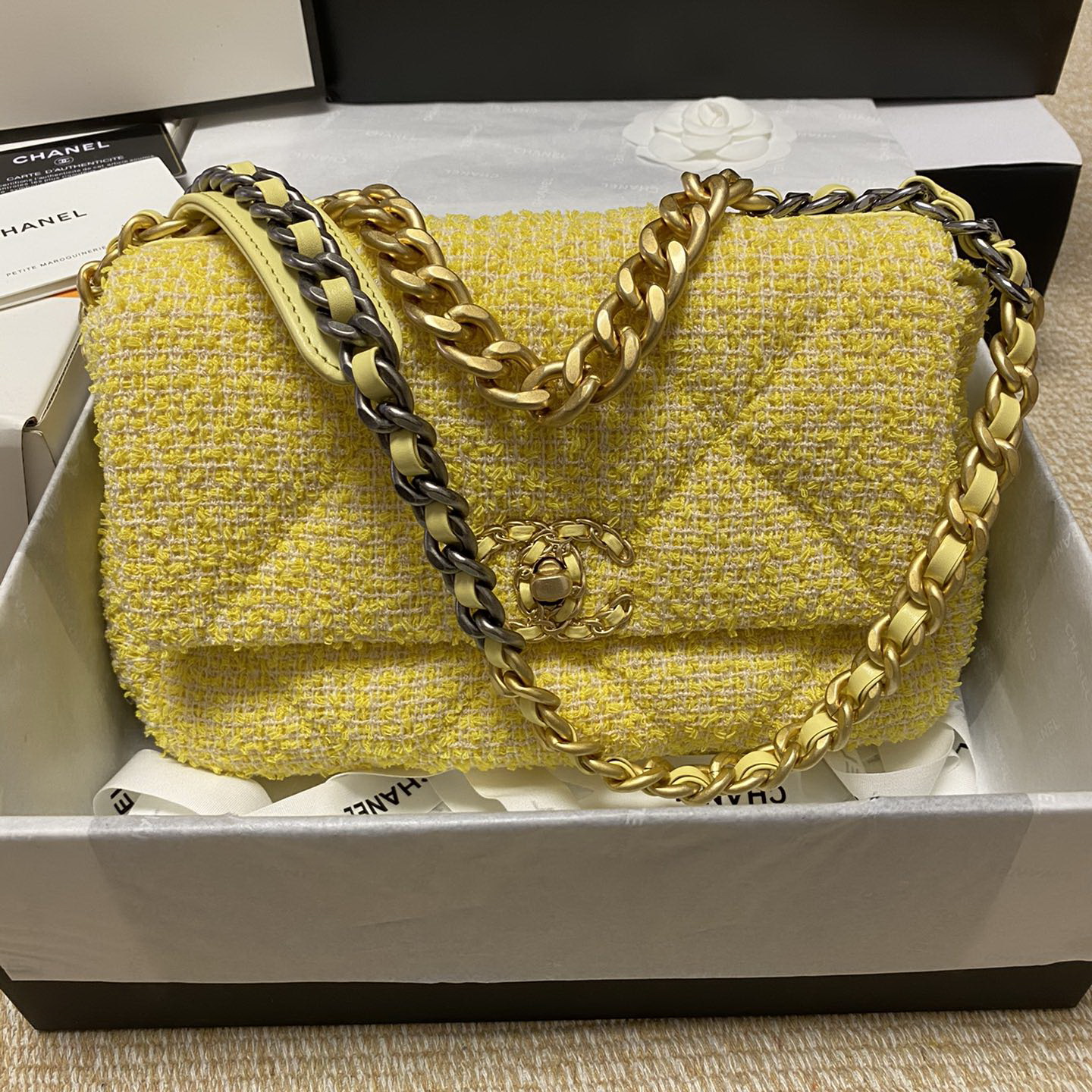 AS1160 CHANEL 19 HANDBAG, 