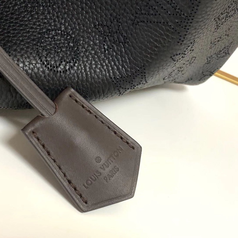 M54354 HINA MM, LOUIS VUITTON LV