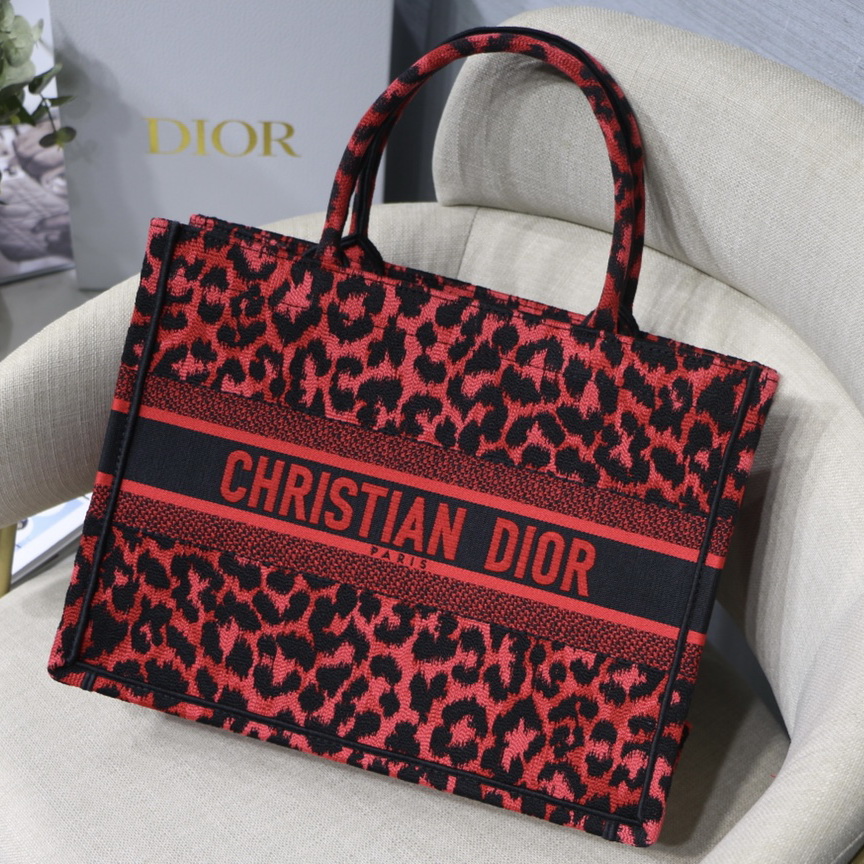 SMALL DIOR BOOK TOTE
