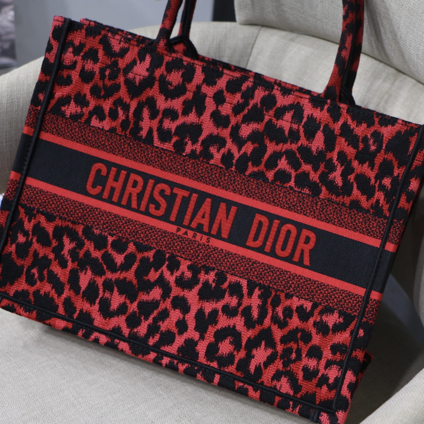 SMALL DIOR BOOK TOTE