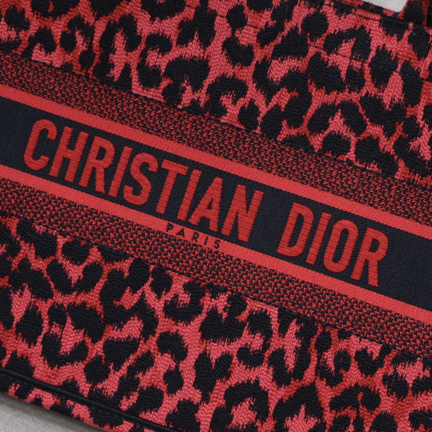 SMALL DIOR BOOK TOTE