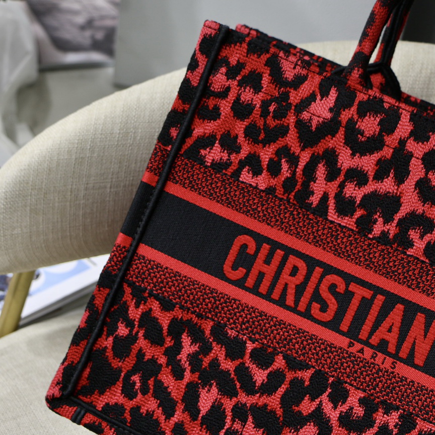 SMALL DIOR BOOK TOTE