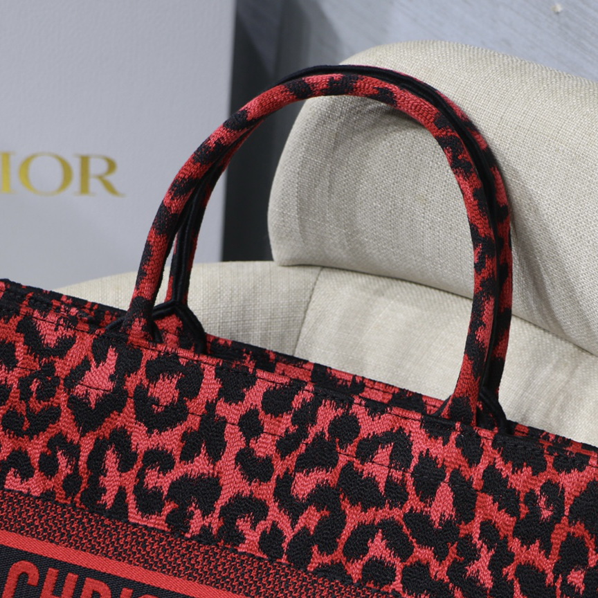 SMALL DIOR BOOK TOTE