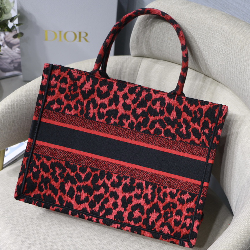 SMALL DIOR BOOK TOTE