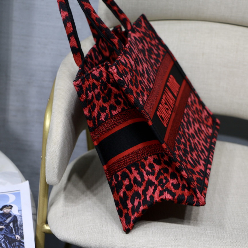 SMALL DIOR BOOK TOTE