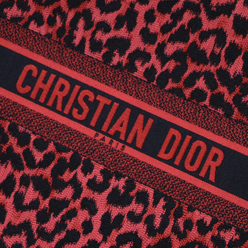 DIOR BOOK TOTE