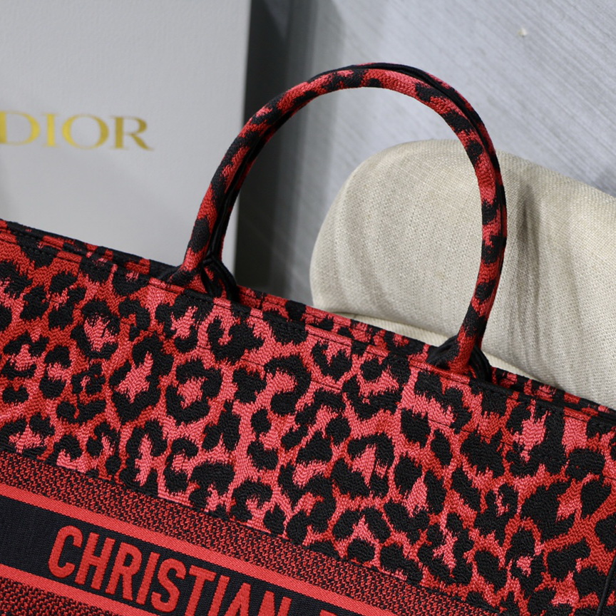 DIOR BOOK TOTE