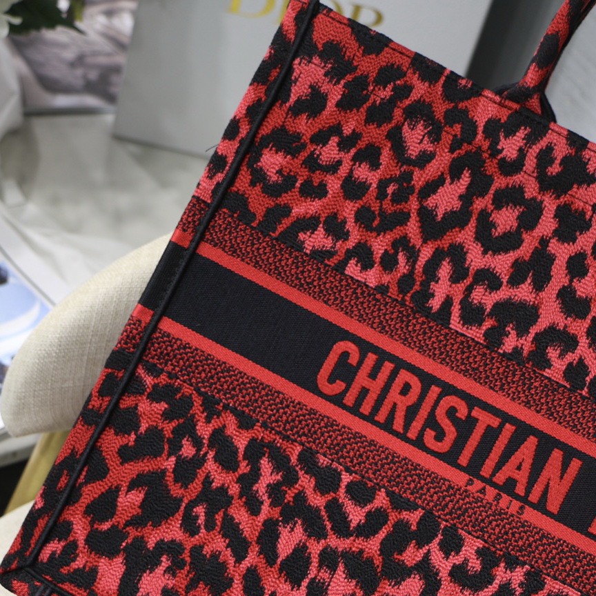 DIOR BOOK TOTE