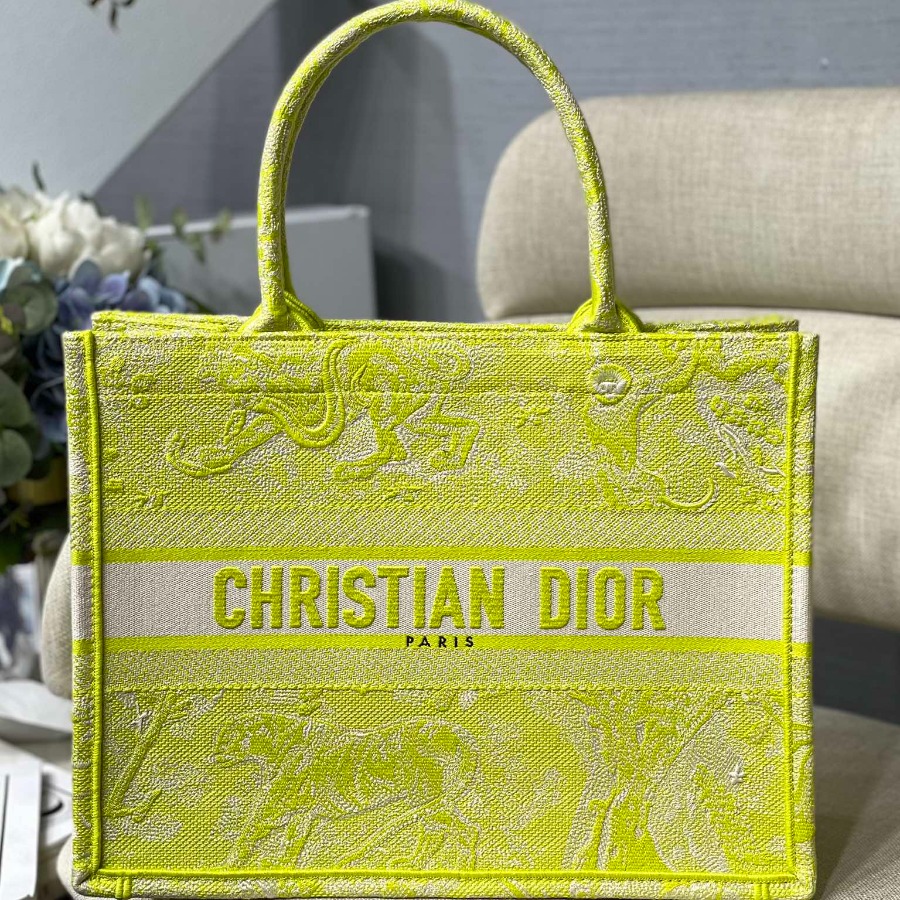SMALL DIOR BOOK TOTE