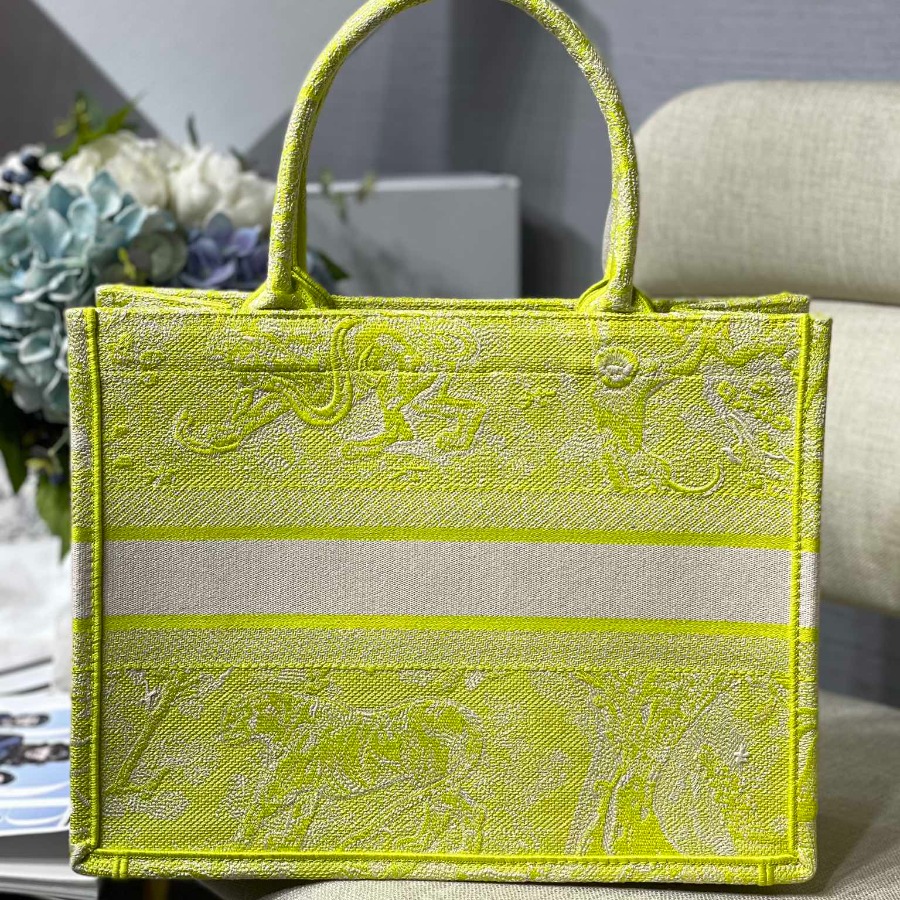 SMALL DIOR BOOK TOTE