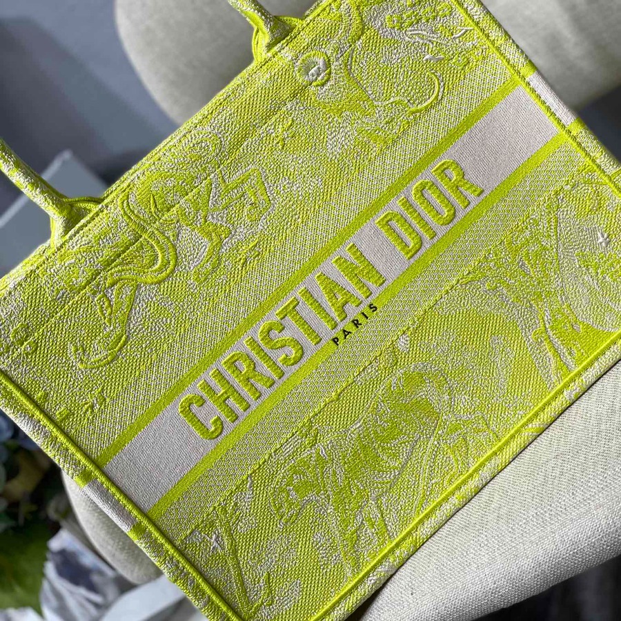 SMALL DIOR BOOK TOTE
