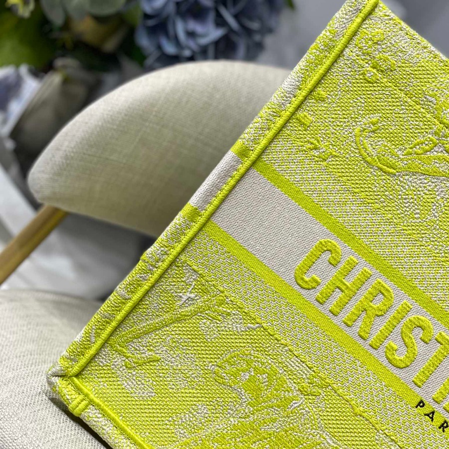 SMALL DIOR BOOK TOTE
