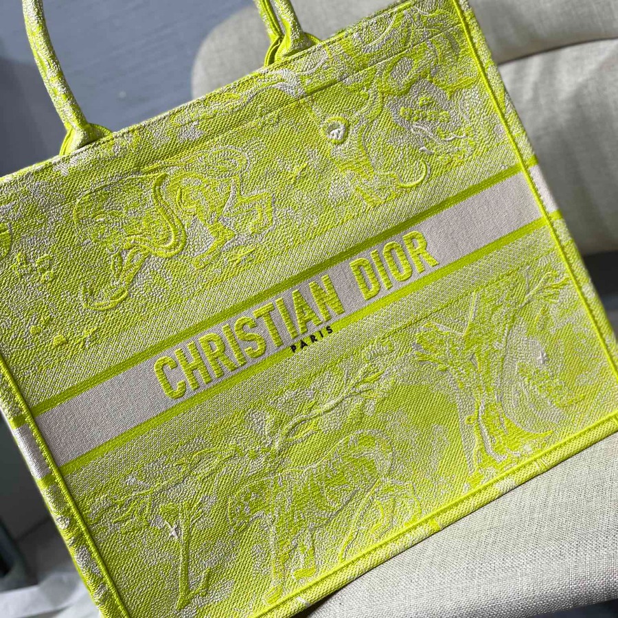 DIOR BOOK TOTE