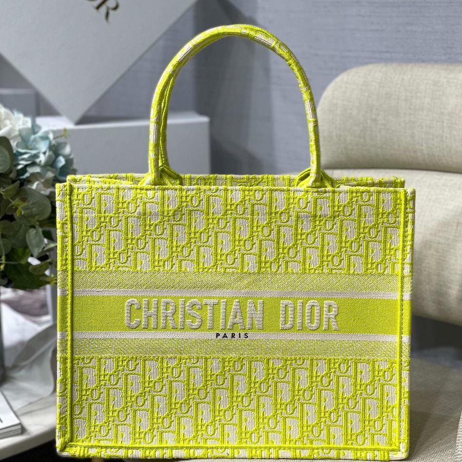 SMALL DIOR BOOK TOTE