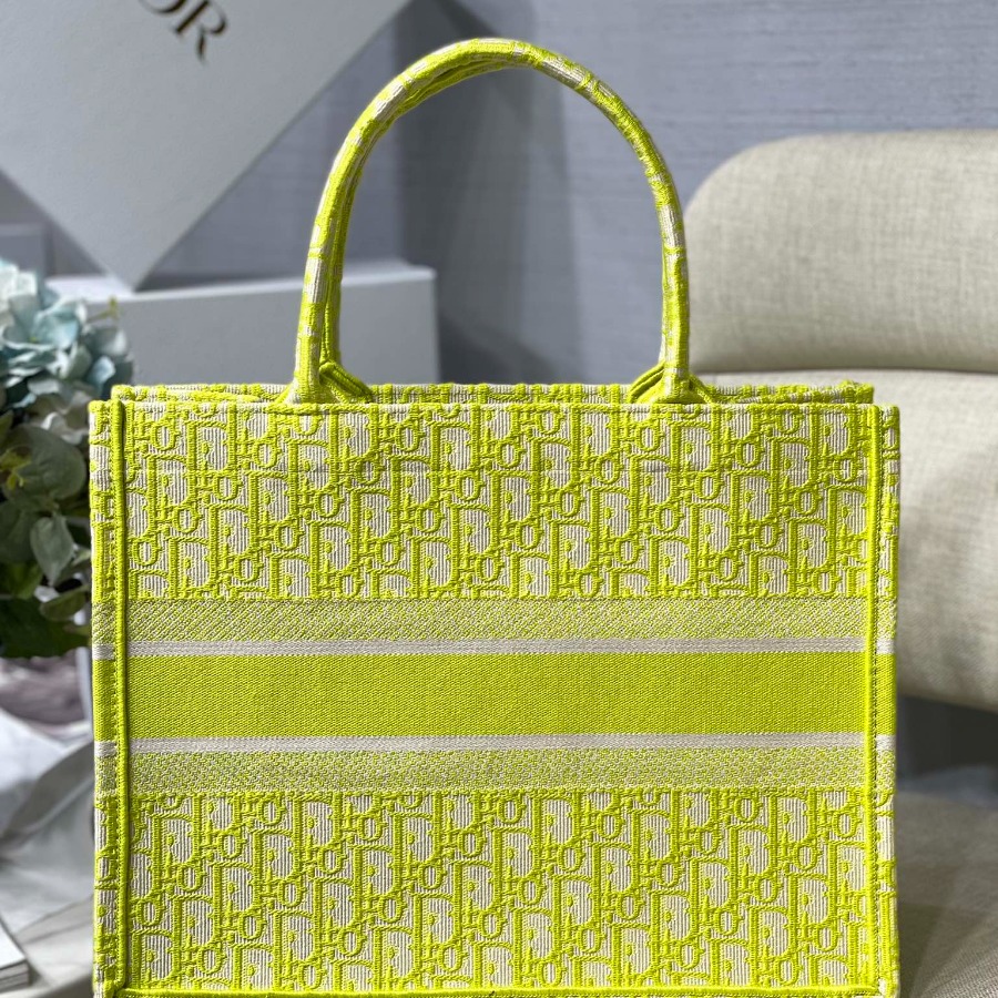 SMALL DIOR BOOK TOTE