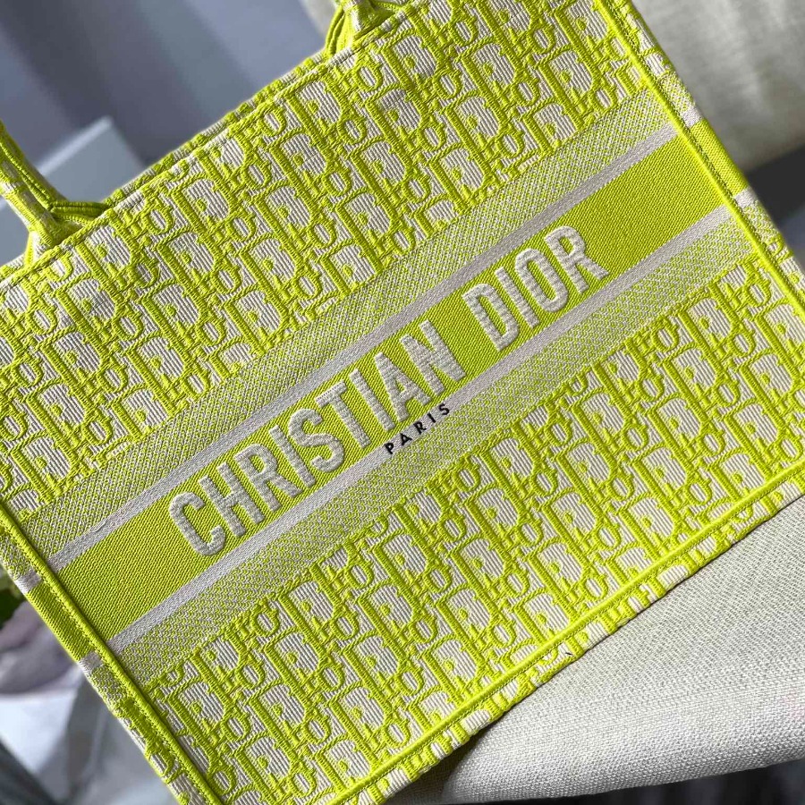 SMALL DIOR BOOK TOTE