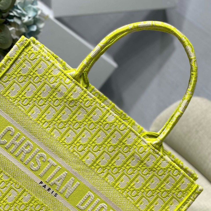 SMALL DIOR BOOK TOTE