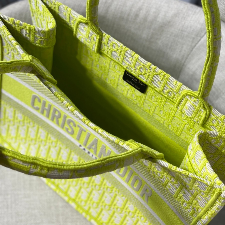 SMALL DIOR BOOK TOTE