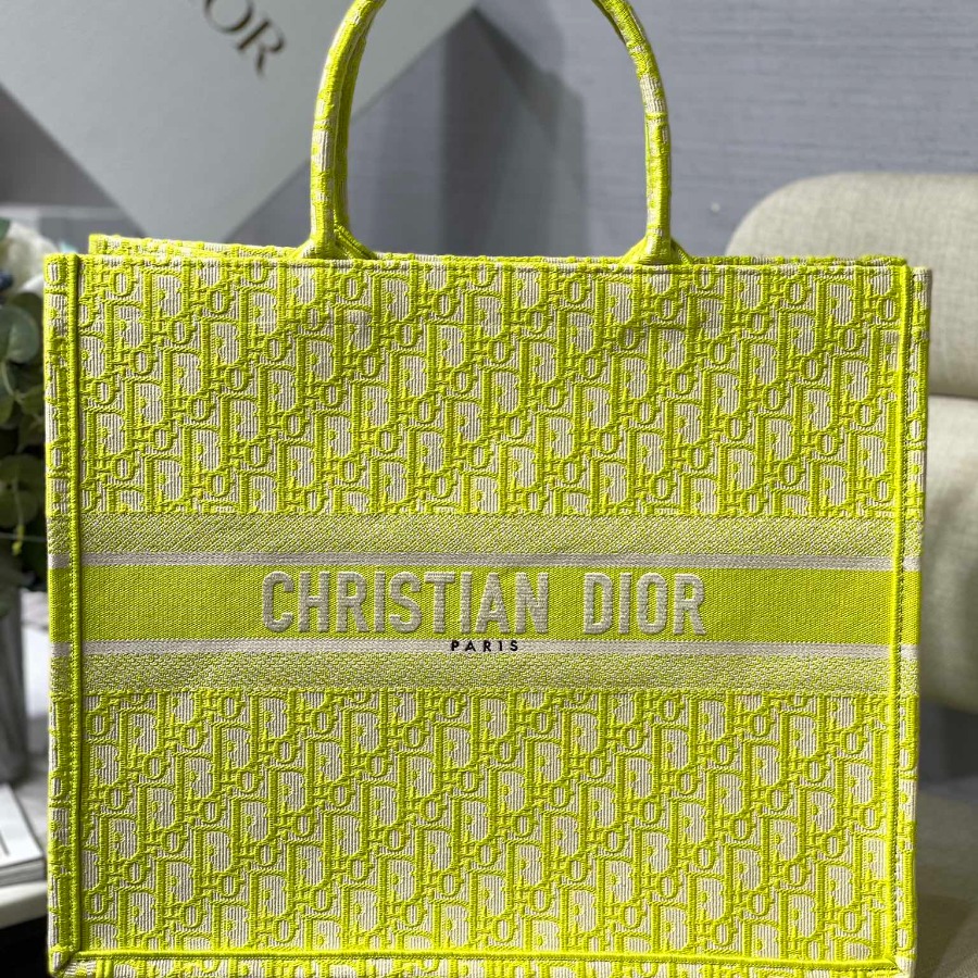 DIOR BOOK TOTE