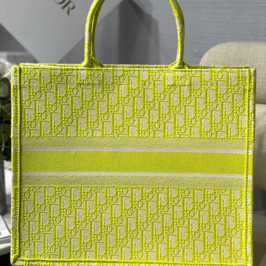 DIOR BOOK TOTE