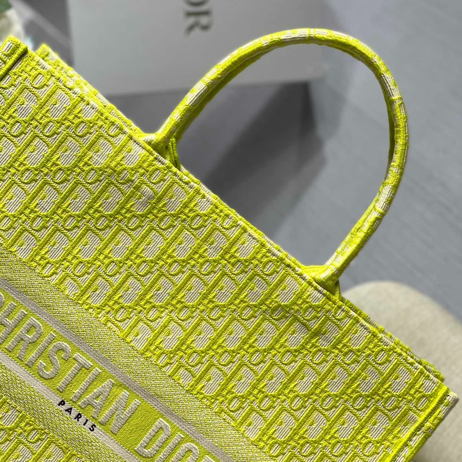 DIOR BOOK TOTE