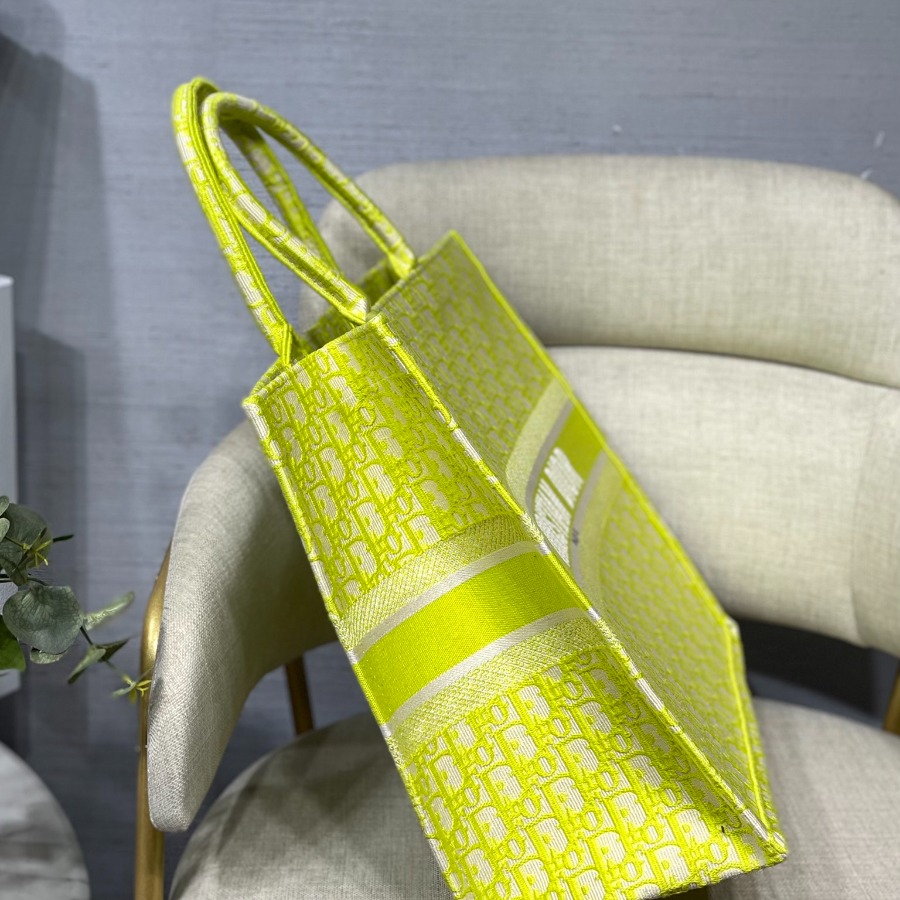 DIOR BOOK TOTE
