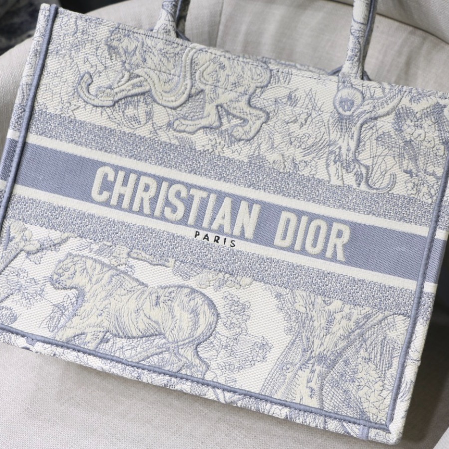SMALL DIOR BOOK TOTE