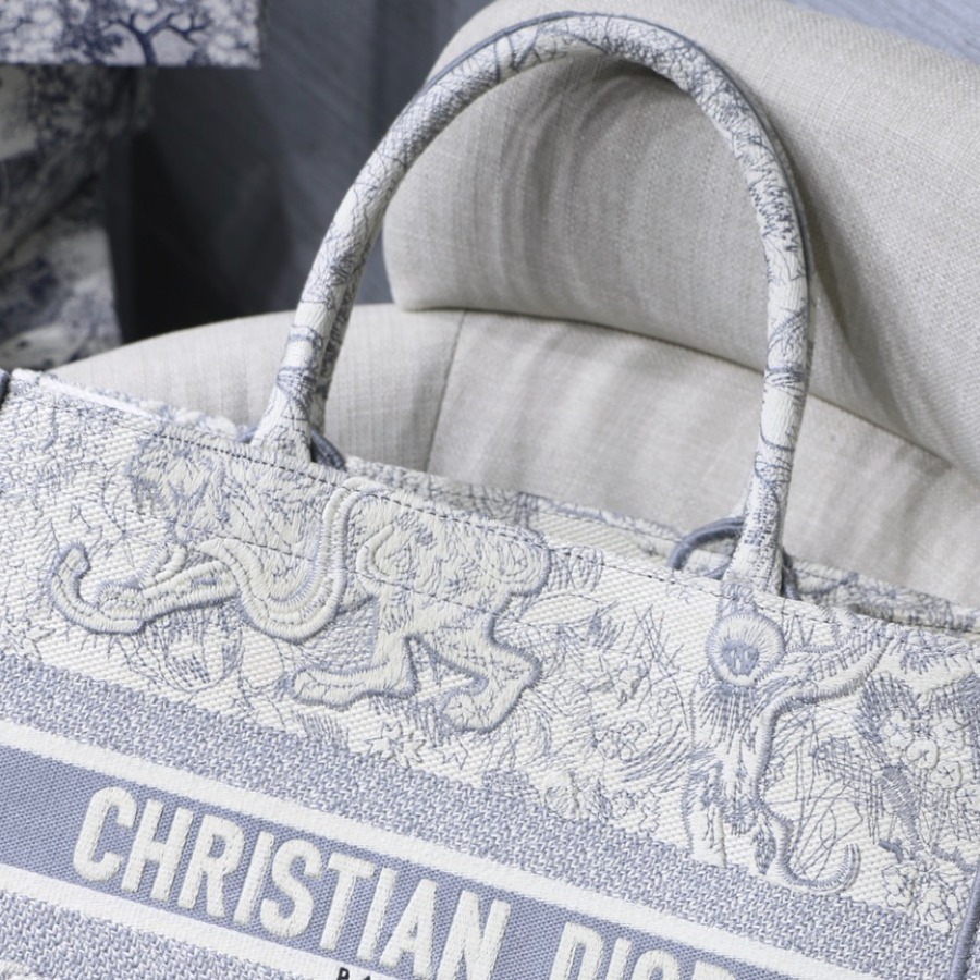SMALL DIOR BOOK TOTE