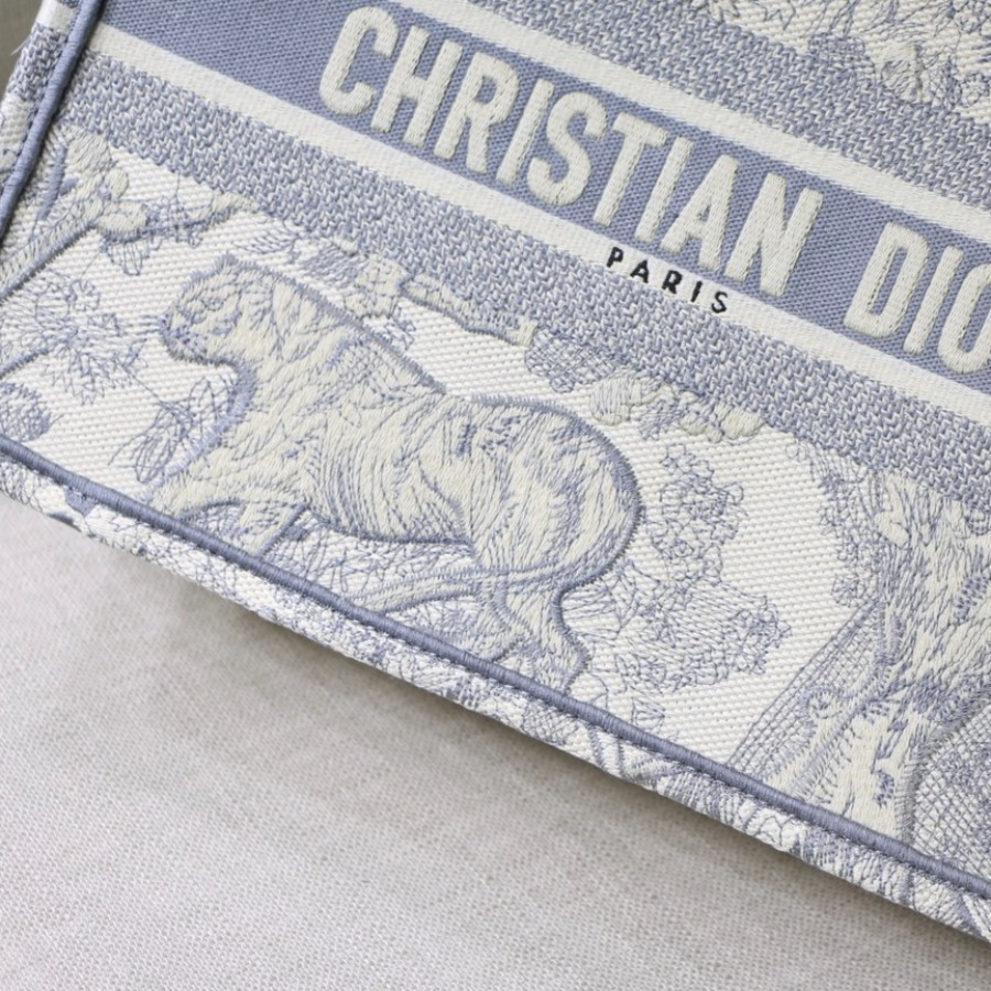 SMALL DIOR BOOK TOTE