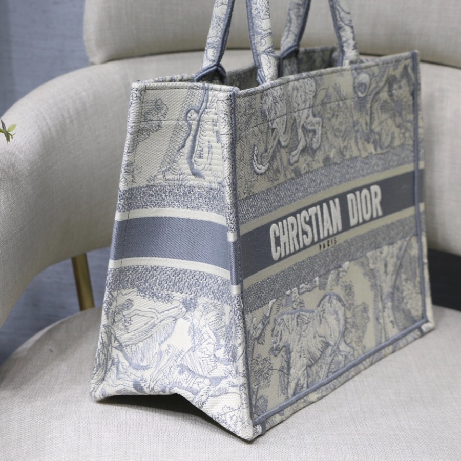 SMALL DIOR BOOK TOTE