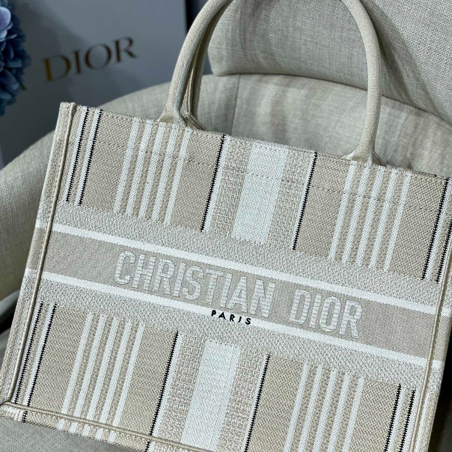 SMALL DIOR BOOK TOTE