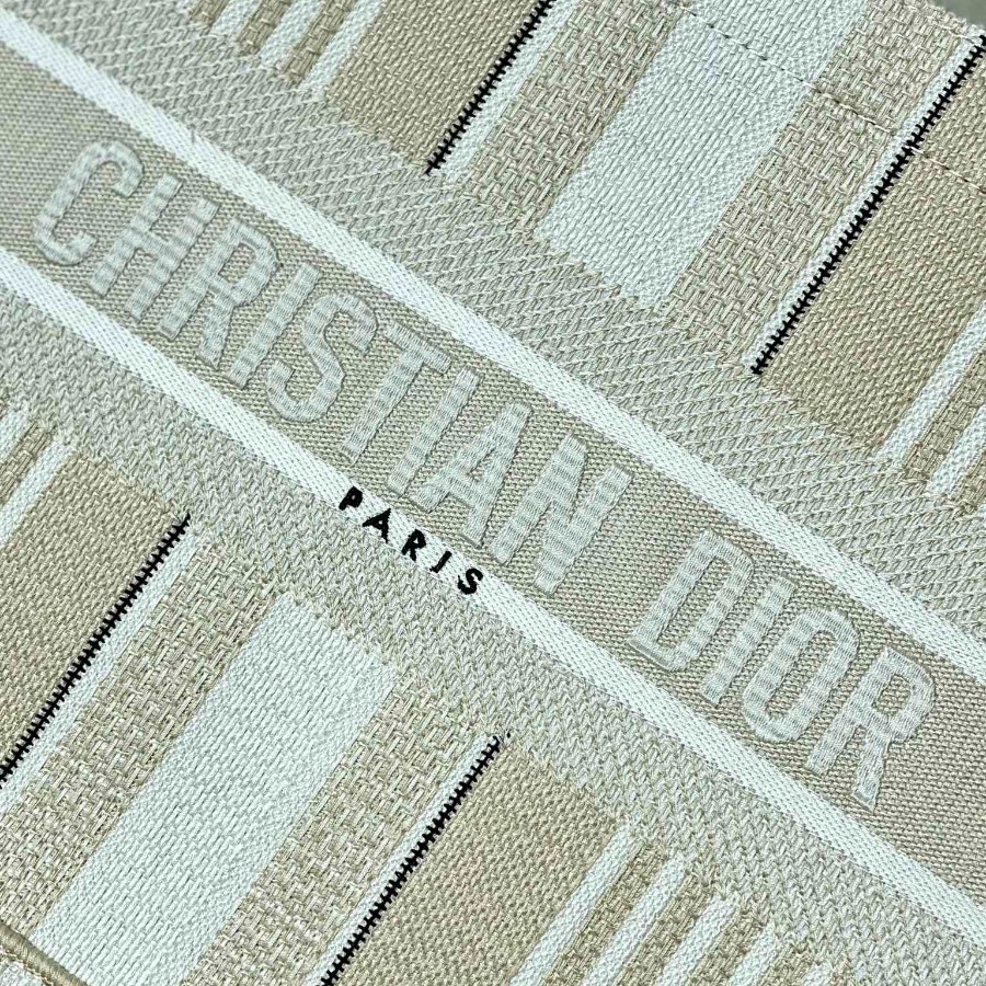 SMALL DIOR BOOK TOTE