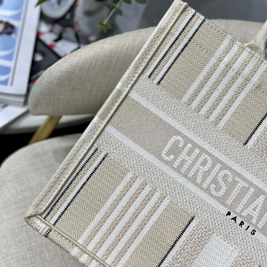 SMALL DIOR BOOK TOTE